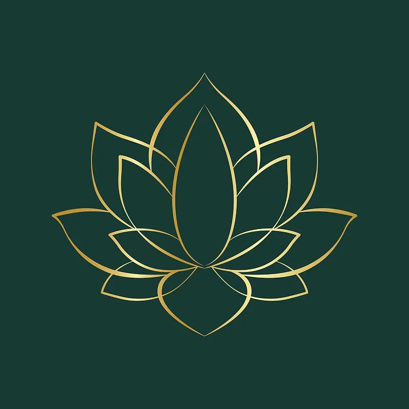 瑜伽教程平衡的秘密，轻松掌握你的体式平衡能力